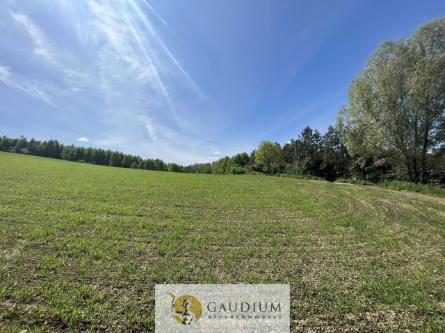 Działka Zła Wieś. Zdjęcie 6