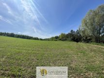 Działka Zła Wieś. Zdjęcie 4