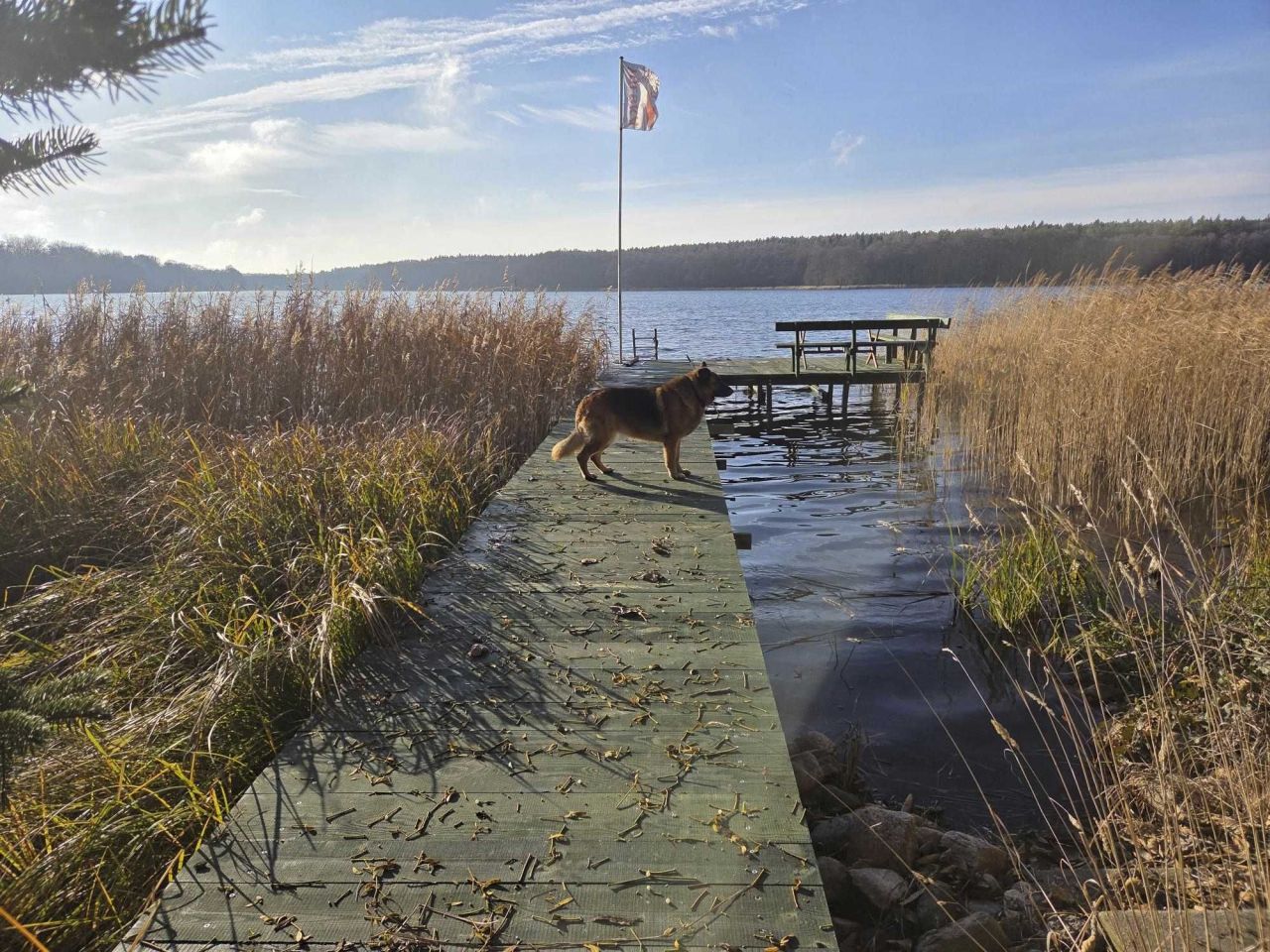 Działka rekreacyjna Ostrowiec. Zdjęcie 3