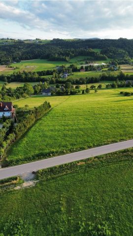 Działka rolno-budowlana Pisarzowa. Zdjęcie 1