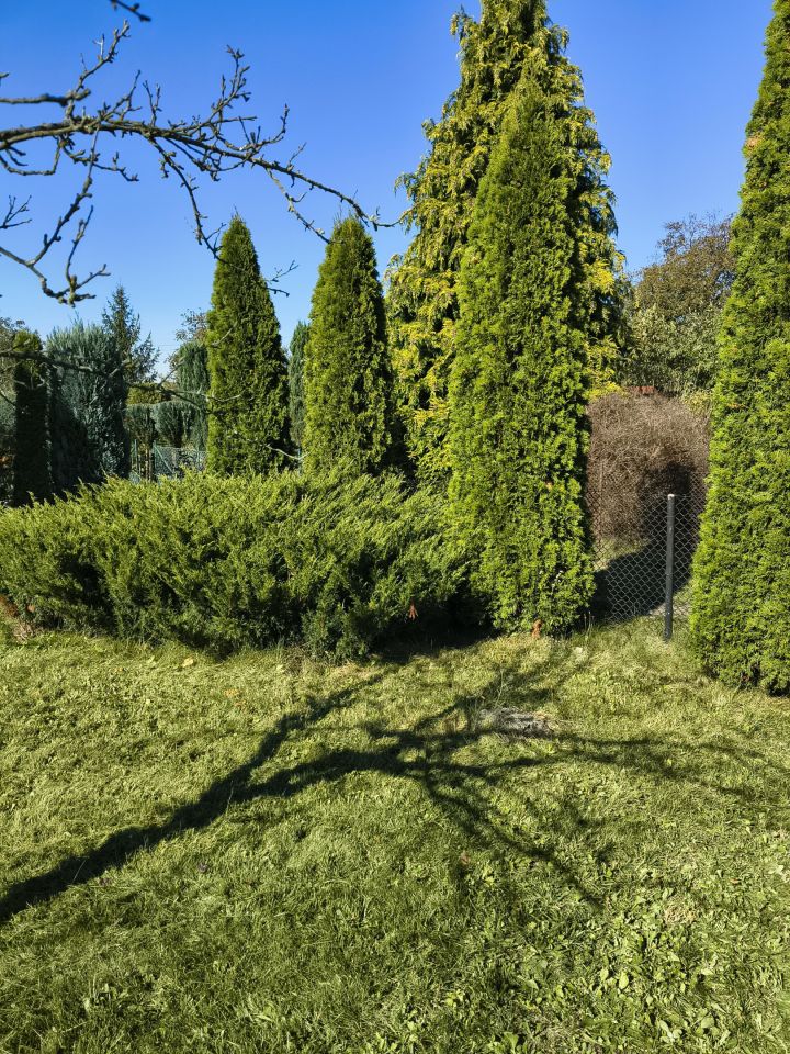 Działka rod Zabrze Grzybowice, ul. Traktorzystów. Zdjęcie 2