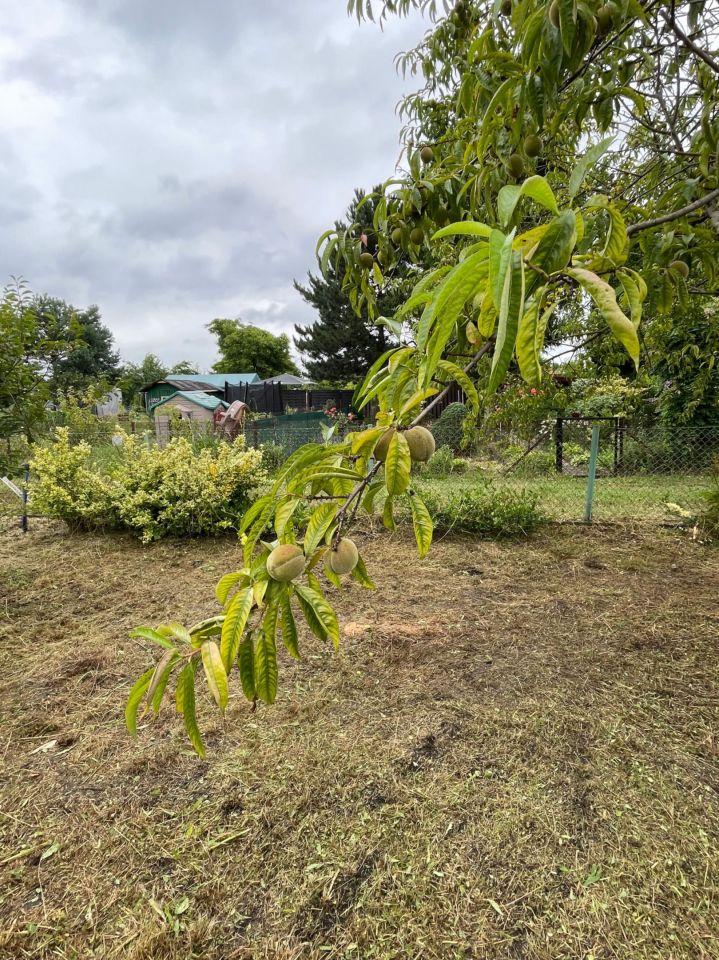 Działka rod Wrocław Fabryczna. Zdjęcie 5