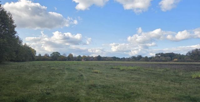 Działka rekreacyjna Nowe Miasto-Folwark. Zdjęcie 3