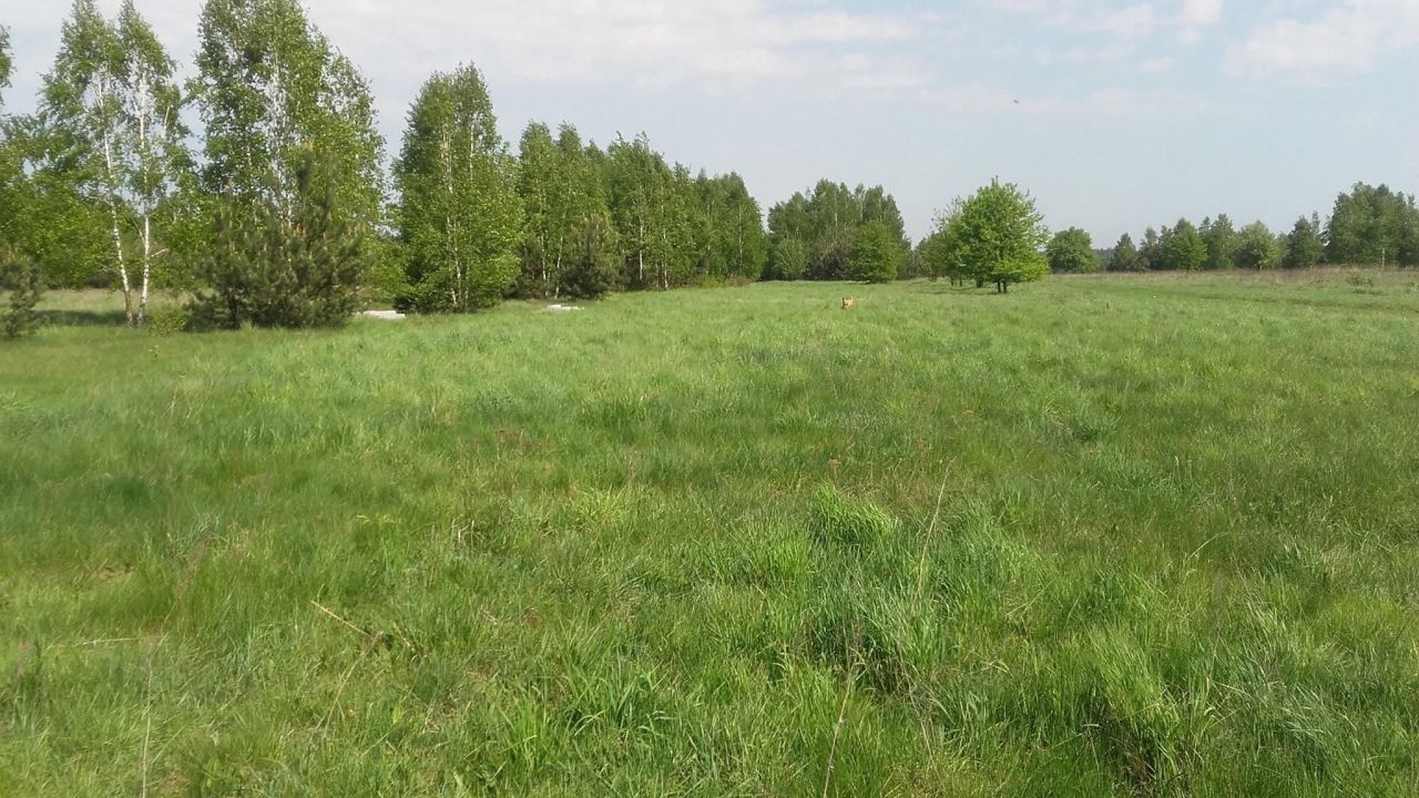 siedlisko, 2 pokoje Laski. Zdjęcie 6