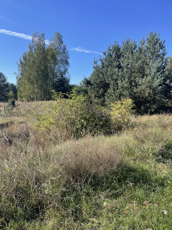 Działka budowlana Żagno. Zdjęcie 7