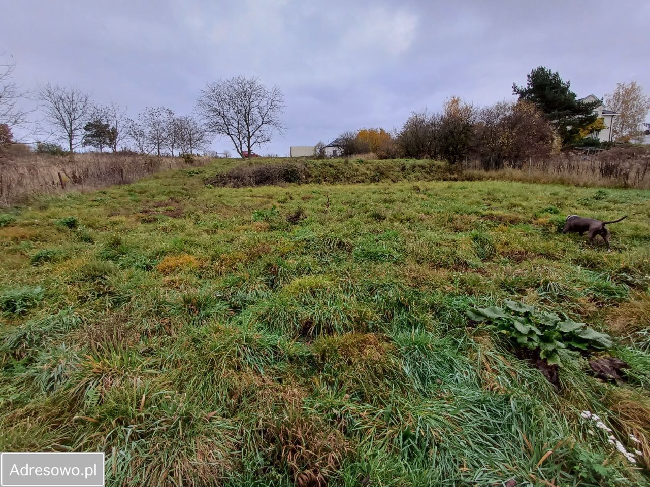 Działka budowlana Gryfino Górny Taras, ul. Zbigniewa Herberta. Zdjęcie 2
