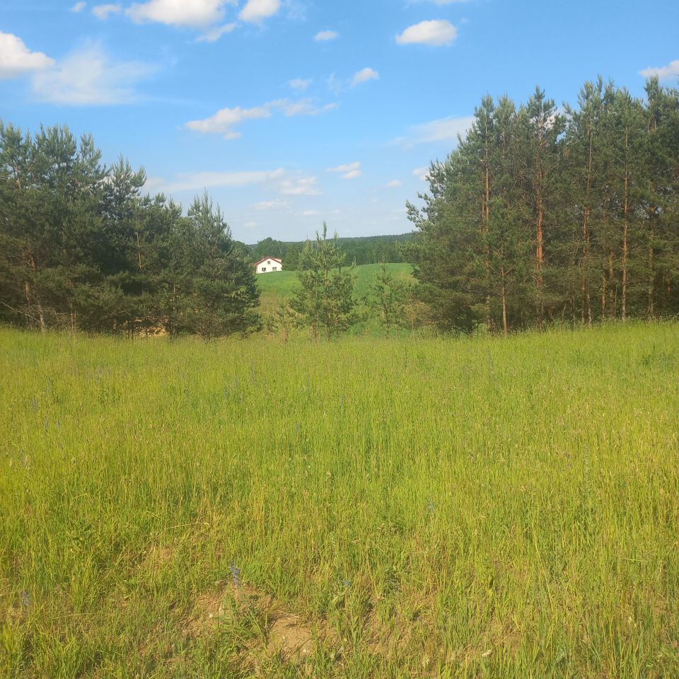Działka budowlana Lipniak, Lipniak. Zdjęcie 8
