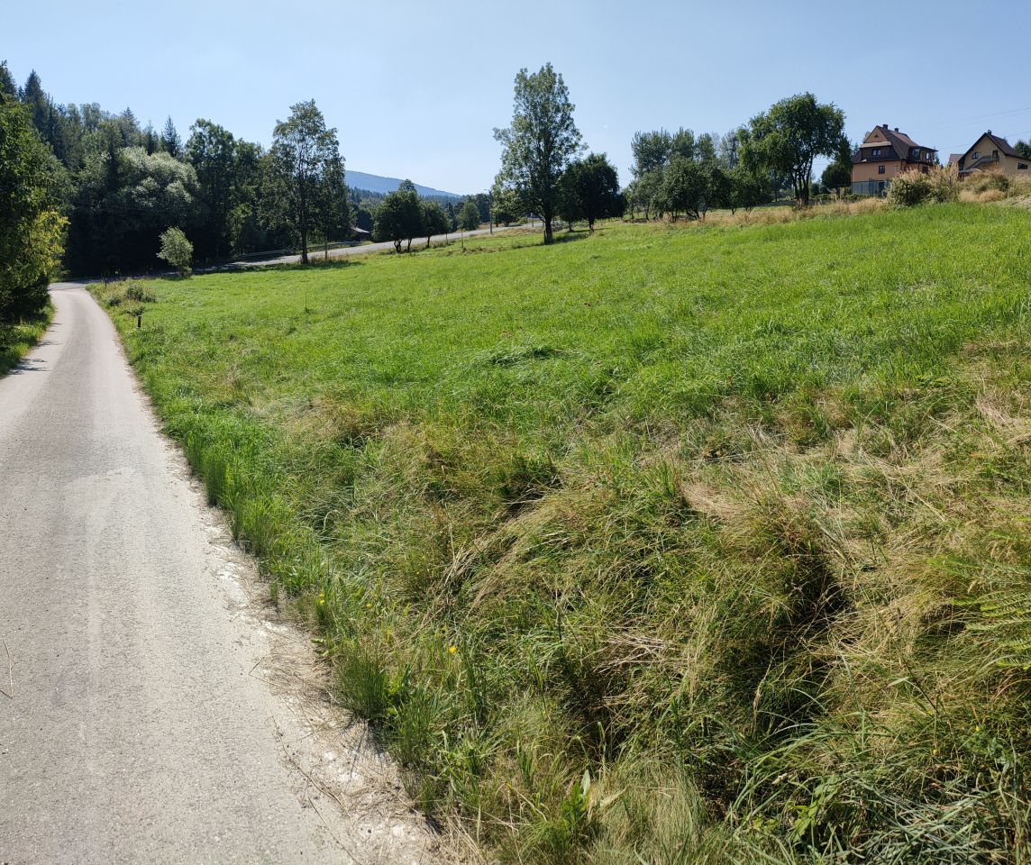 Działka budowlana Kurów Rzepki. Zdjęcie 8