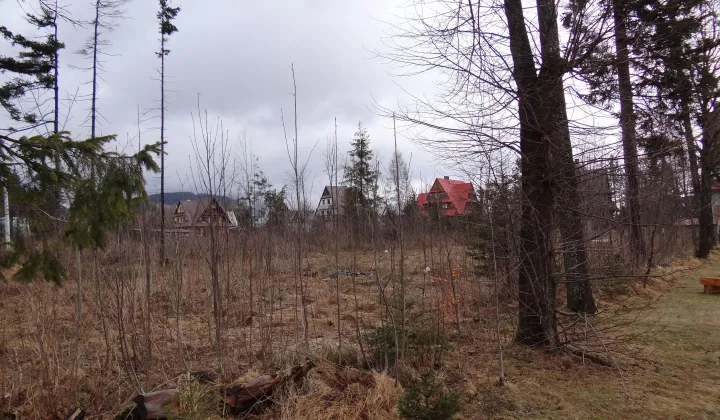 Działka budowlana Kościelisko Chotarz, ul. Nędzy-Kubińca