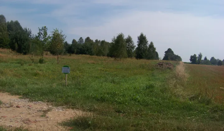 Działka rolno-budowlana Dąbrowa