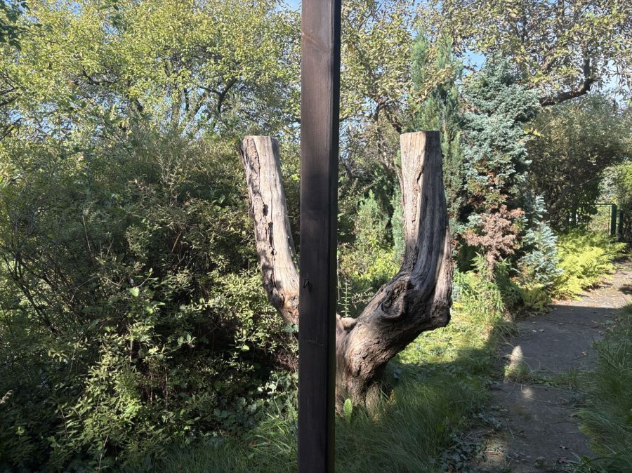 Działka rekreacyjna Gdańsk Stogi, ul. Wosia Budzysza. Zdjęcie 2