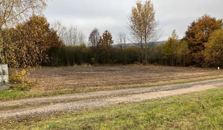 Działka budowlana Ćmińsk Wyręba