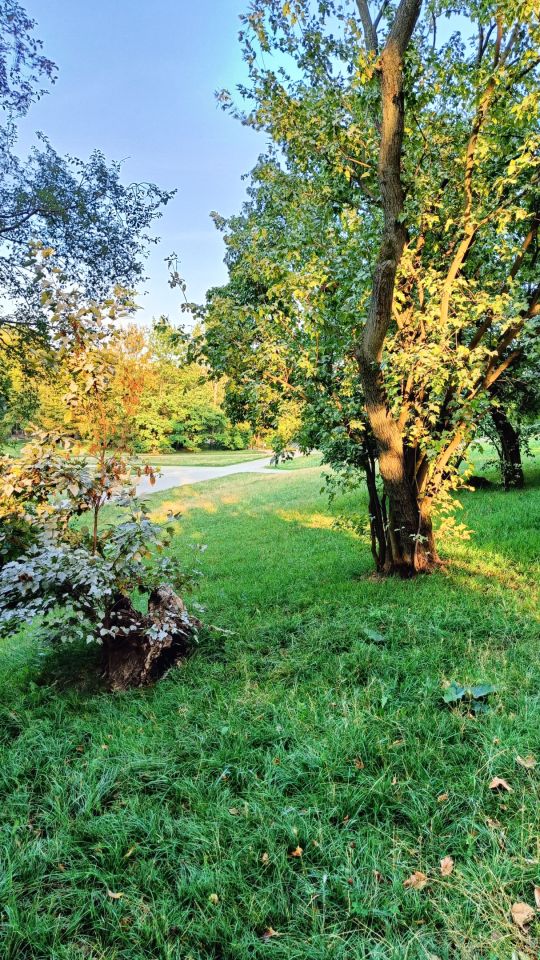 Pokój Warszawa Żoliborz, ul. Krechowiecka. Zdjęcie 14