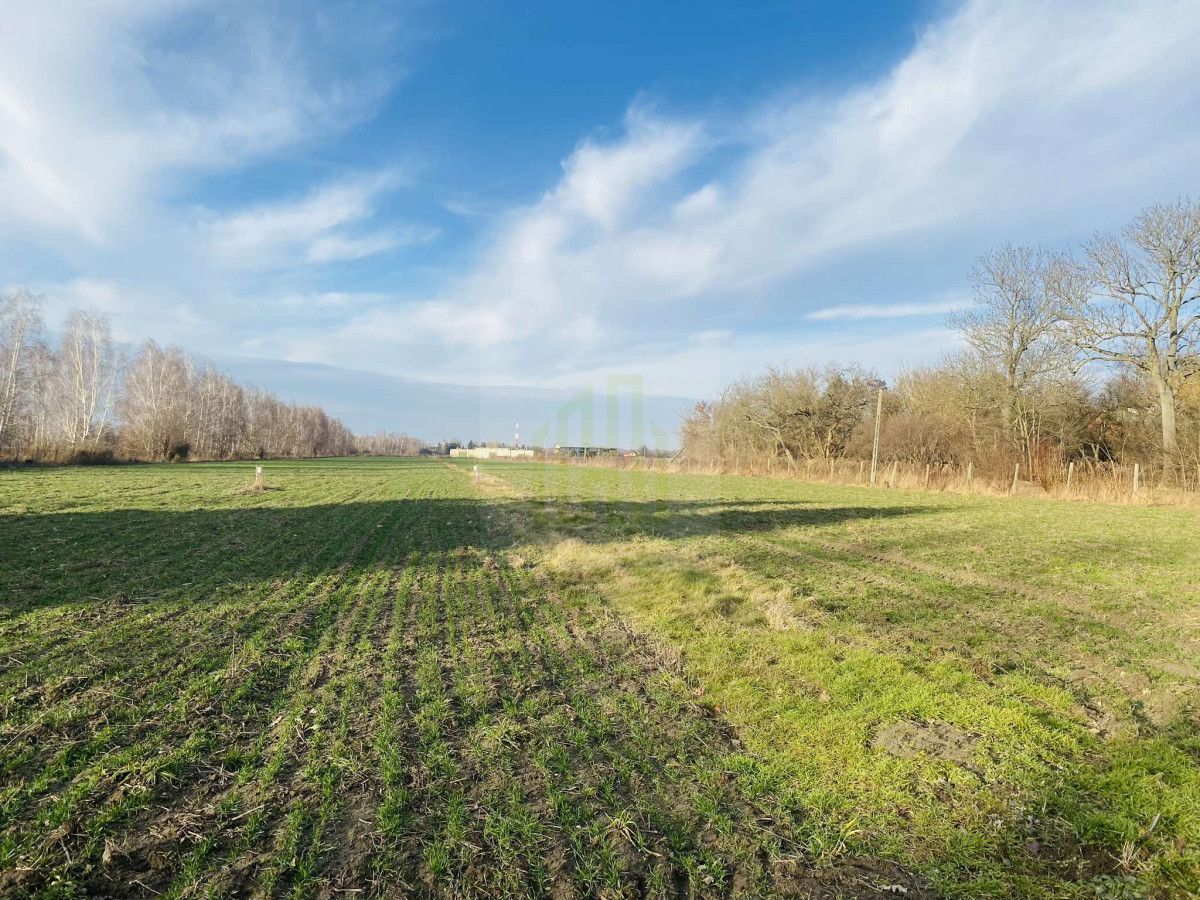 Działka budowlana Dębówka. Zdjęcie 5