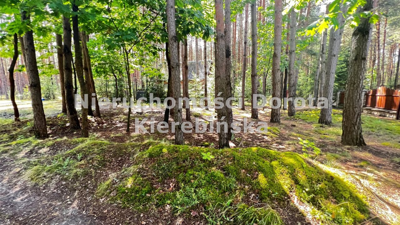 dom wolnostojący, 2 pokoje Fryszerka. Zdjęcie 17