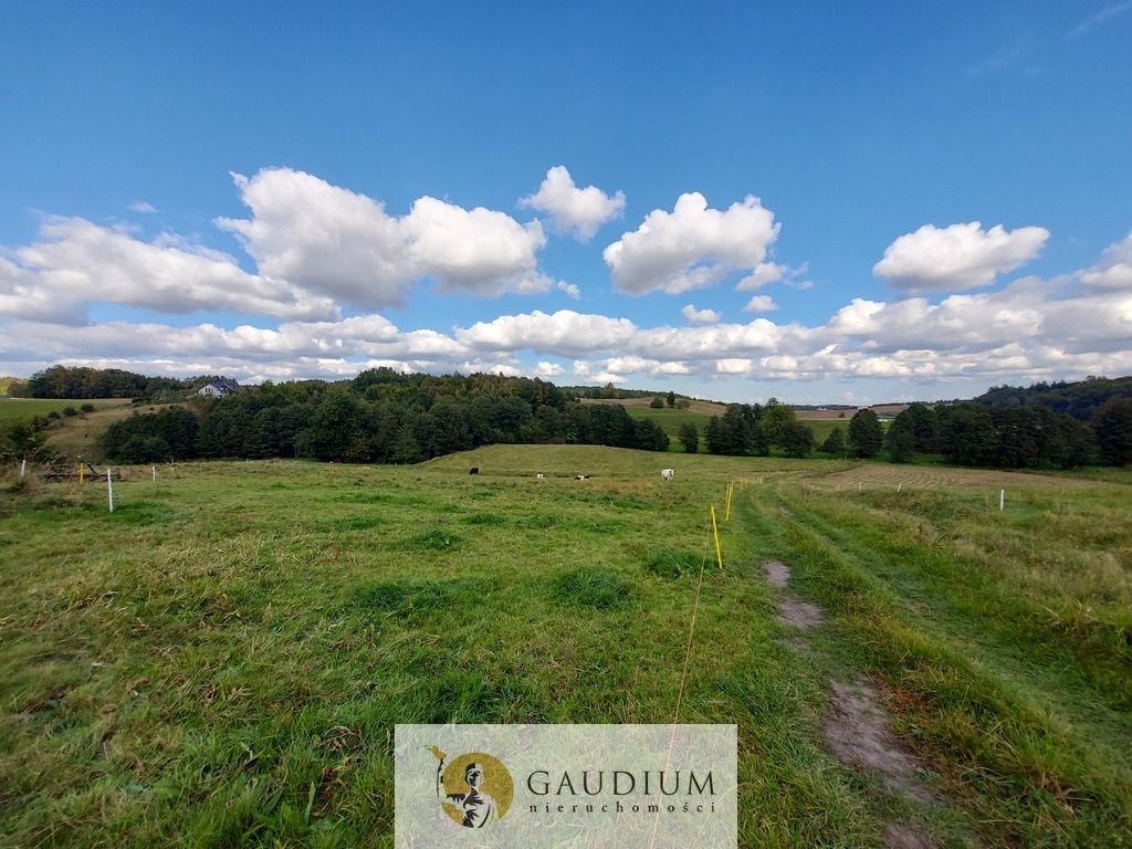 Działka Kobysewo. Zdjęcie 12