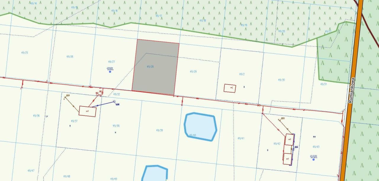 Działka rolna Nowe Miasto. Zdjęcie 3