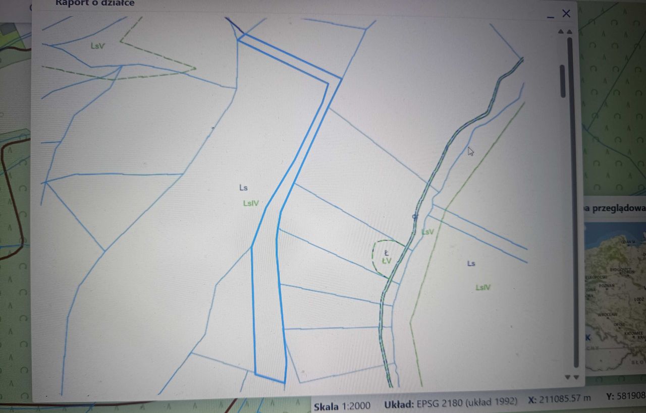 Działka leśna Wierzbanowa. Zdjęcie 1