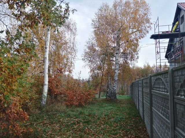 Działka rolno-budowlana Lubiszyn. Zdjęcie 1