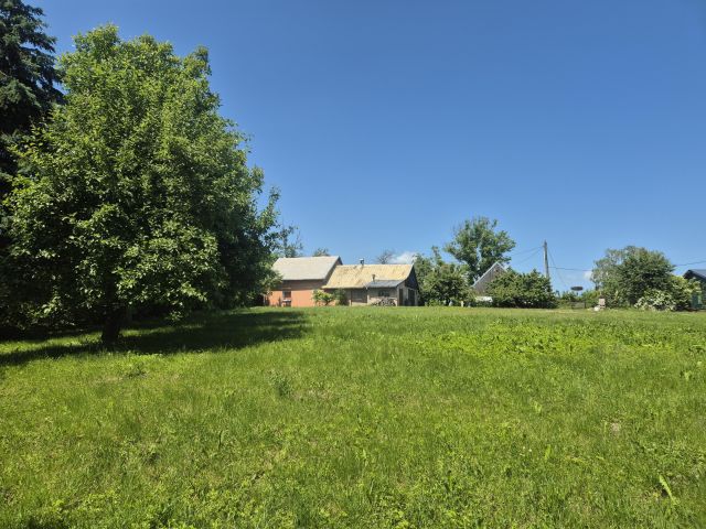 Działka siedliskowa Rychliki. Zdjęcie 10