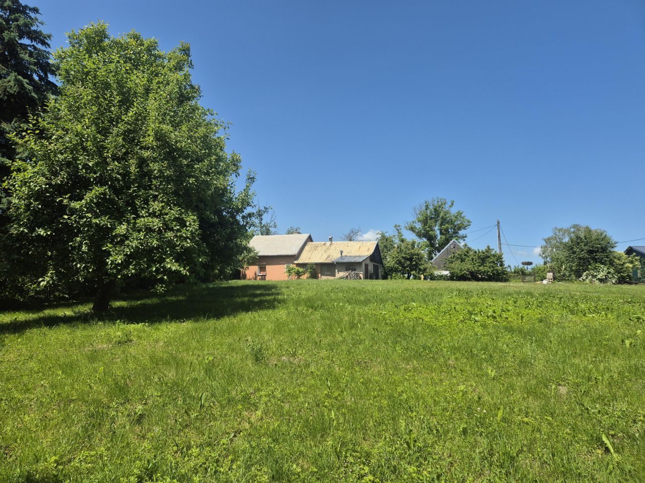 Działka siedliskowa Rychliki. Zdjęcie 10