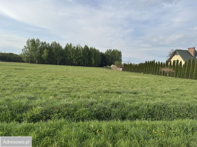 Działka budowlana Bałucz. Zdjęcie 1