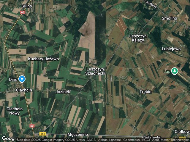 Działka rolna Leszczyn Szlachecki. Zdjęcie 1