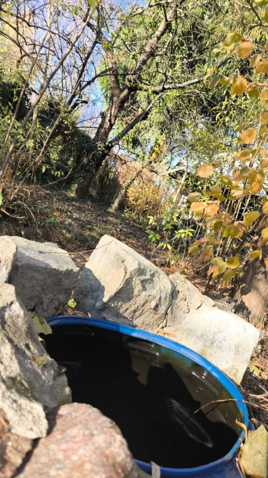 Działka rod Elbląg Bielany. Zdjęcie 3