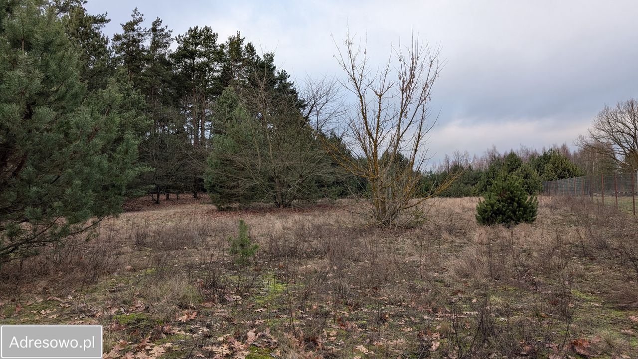 Działka budowlana Krubin, ul. Czerwienna. Zdjęcie 5