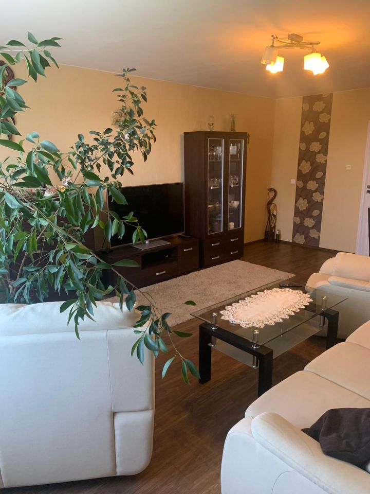 Mieszkanie 3-pokojowe Dytmarów. Zdjęcie 10