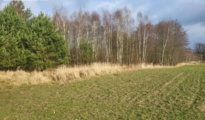 Działka rekreacyjna Chłopowo