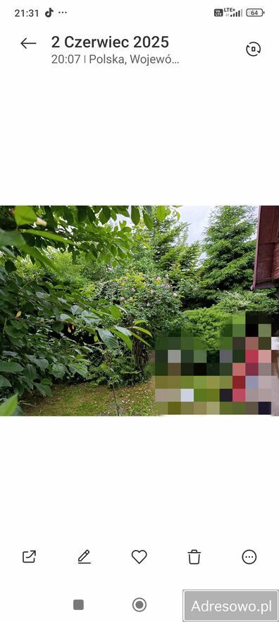 Działka rod Tarnobrzeg. Zdjęcie 3