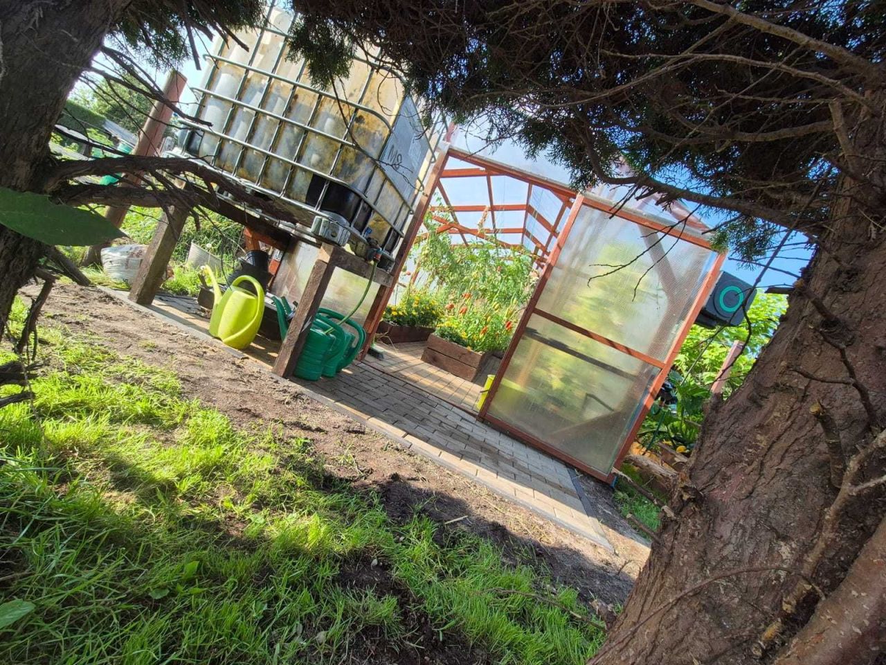 Działka rod Baranów. Zdjęcie 6