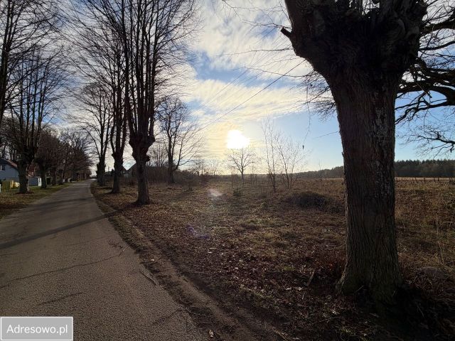 Działka rolno-budowlana Zaspy Wielkie. Zdjęcie 1