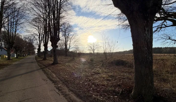 Działka rolno-budowlana Zaspy Wielkie