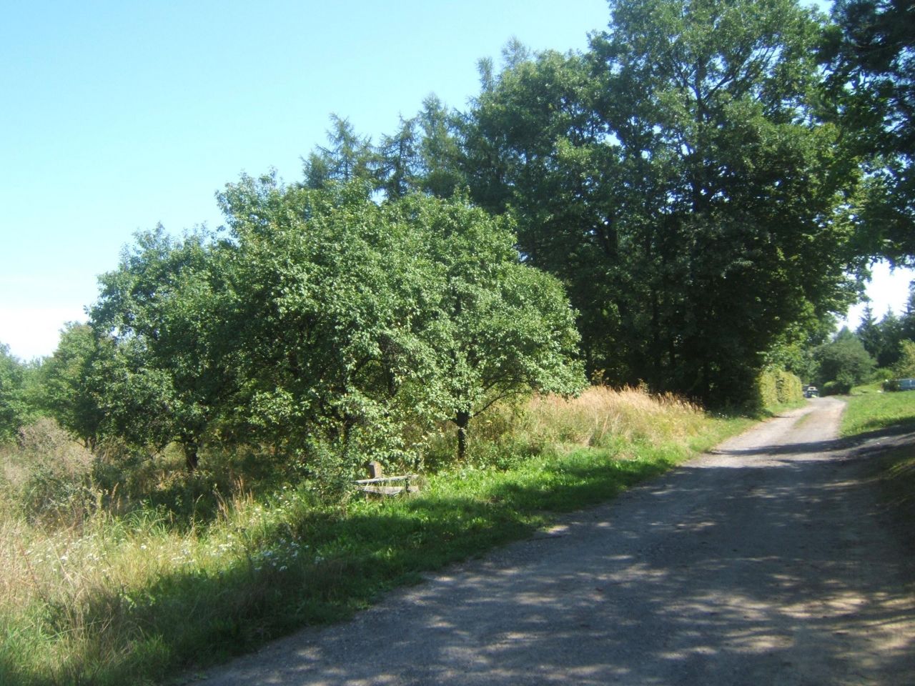 Działka budowlana Zrąb. Zdjęcie 4