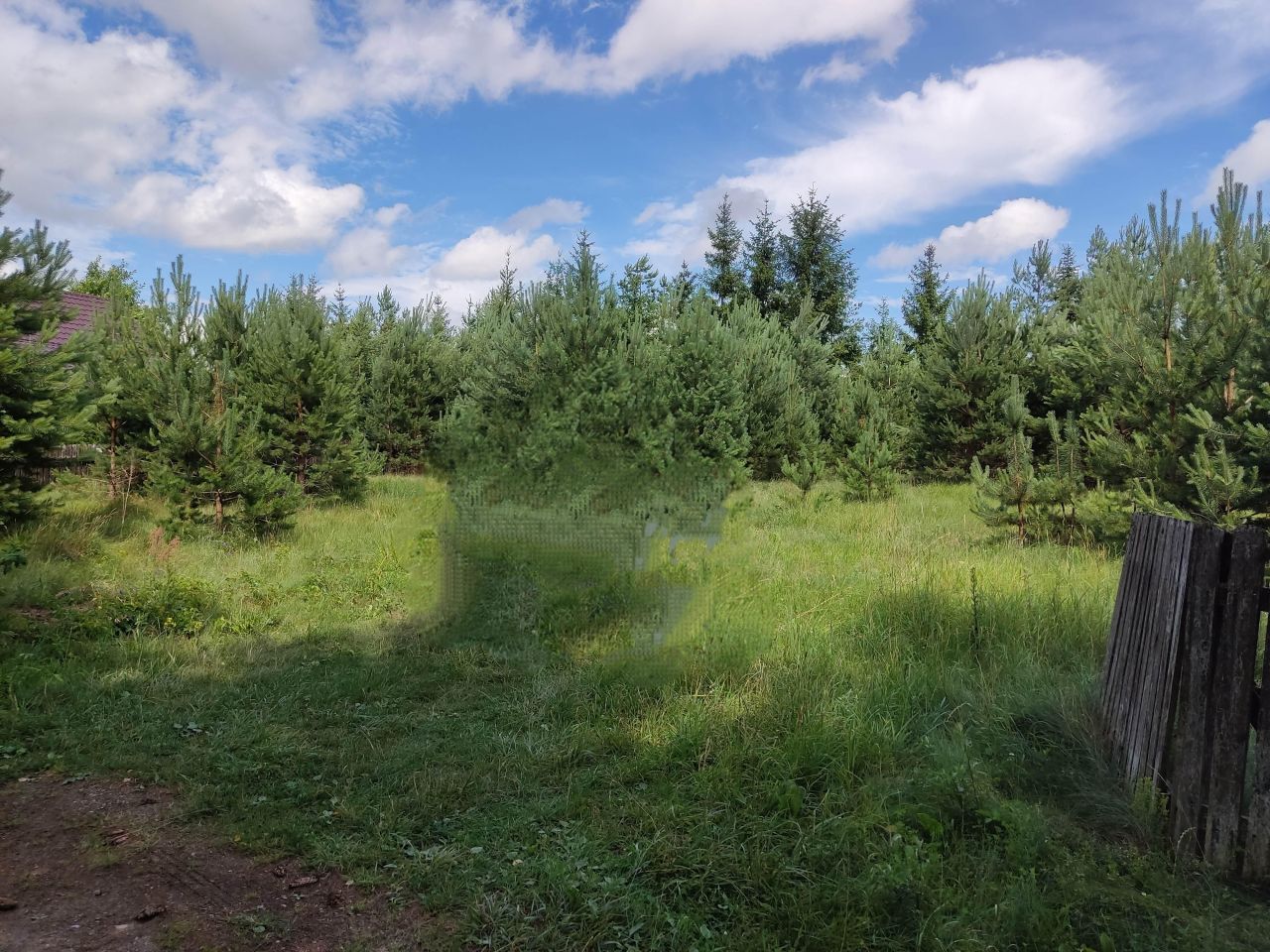 Działka budowlana Danowskie. Zdjęcie 7