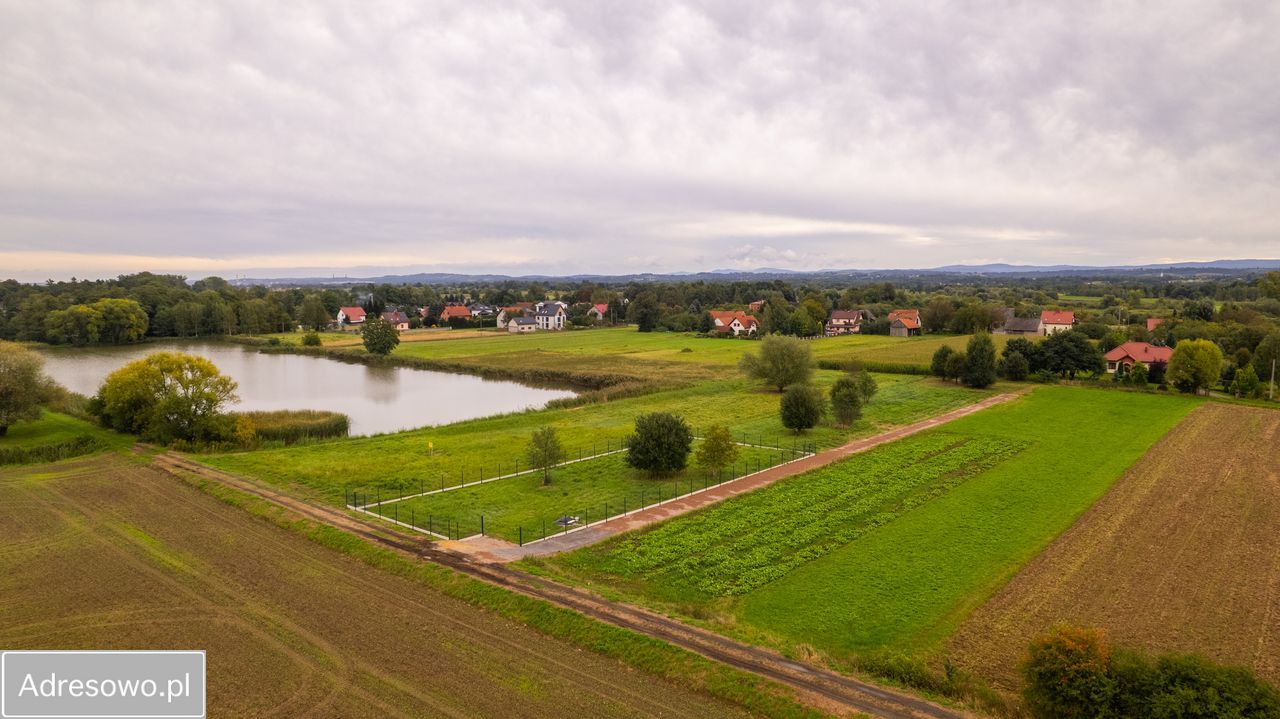 Działka rekreacyjna Czernichów. Zdjęcie 12