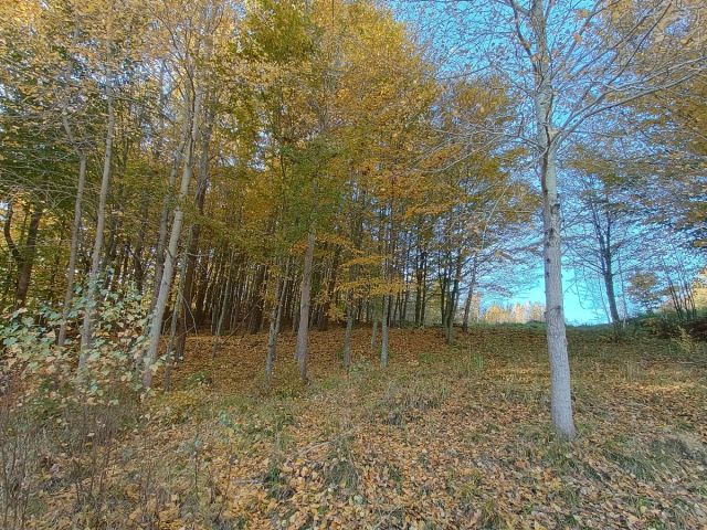 Działka budowlana Gromadzin, ul. Źródlana. Zdjęcie 5