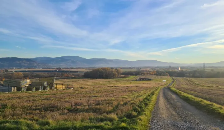 Działka rolna Pietrzykowice