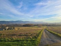 Działka rolna Pietrzykowice