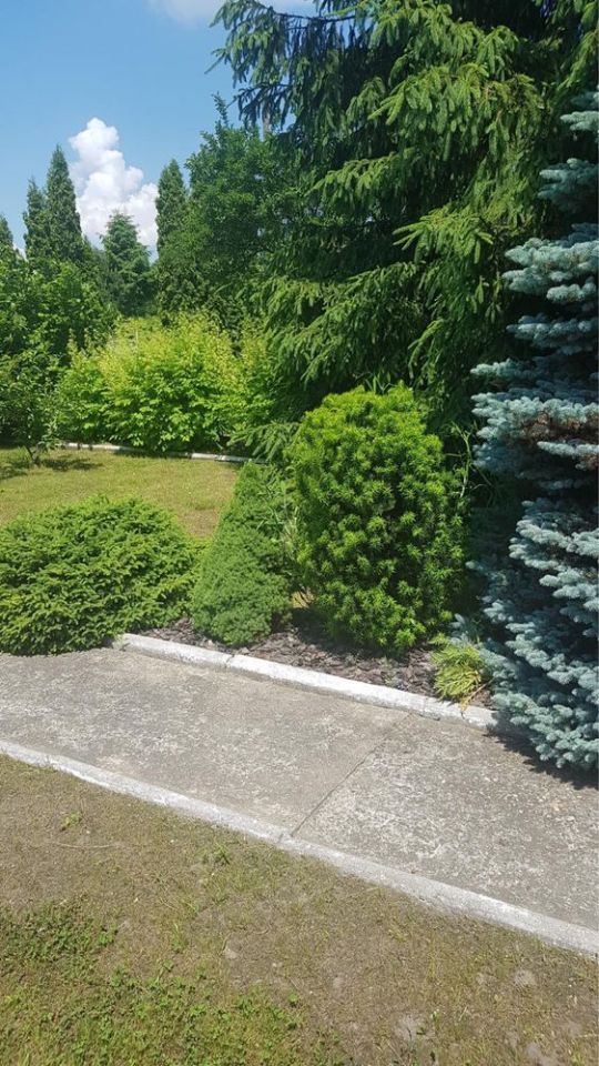 Działka rod Bytom, ul. Siemianowicka. Zdjęcie 7