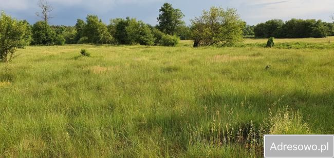 Działka rekreacyjna Ceteń. Zdjęcie 6