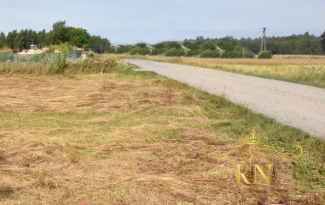 Działka siedliskowa Siedliska. Zdjęcie 1