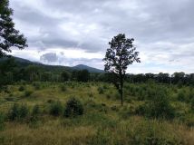 Działka siedliskowa Grodziszcze-Kolonia