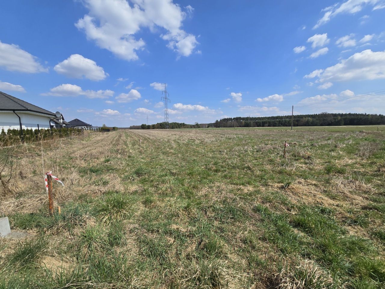 Działka budowlana Jędrzychów. Zdjęcie 4