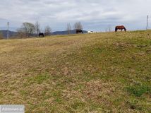 Działka budowlana Strzebowiska. Zdjęcie 1