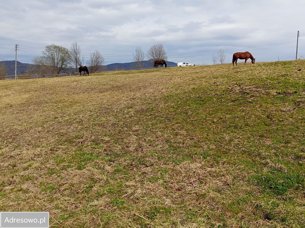 Działka budowlana Strzebowiska. Zdjęcie 2