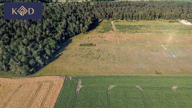 Działka inwestycyjna Nieczajna. Zdjęcie 10