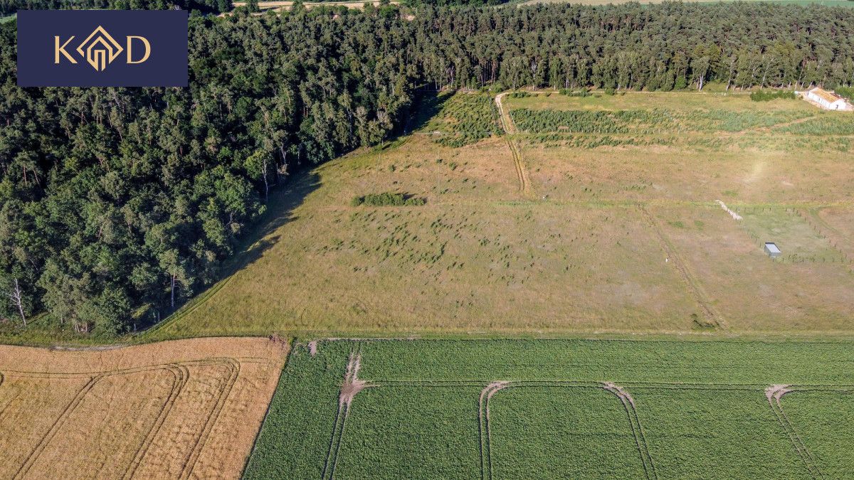 Działka inwestycyjna Nieczajna. Zdjęcie 10
